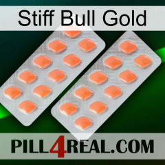 Stiff Bull Gold 27